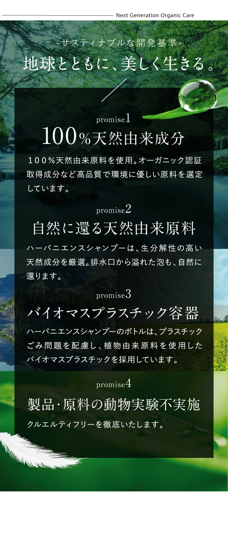 流れた泡は、自然に分解され、水に戻ります。