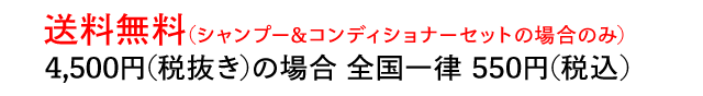 送料詳細