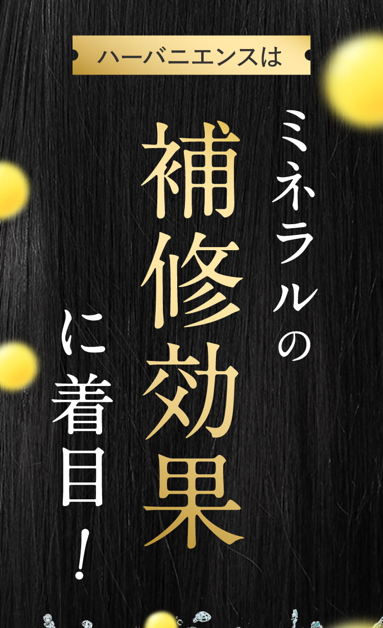 ミネラルの補修効果に着目