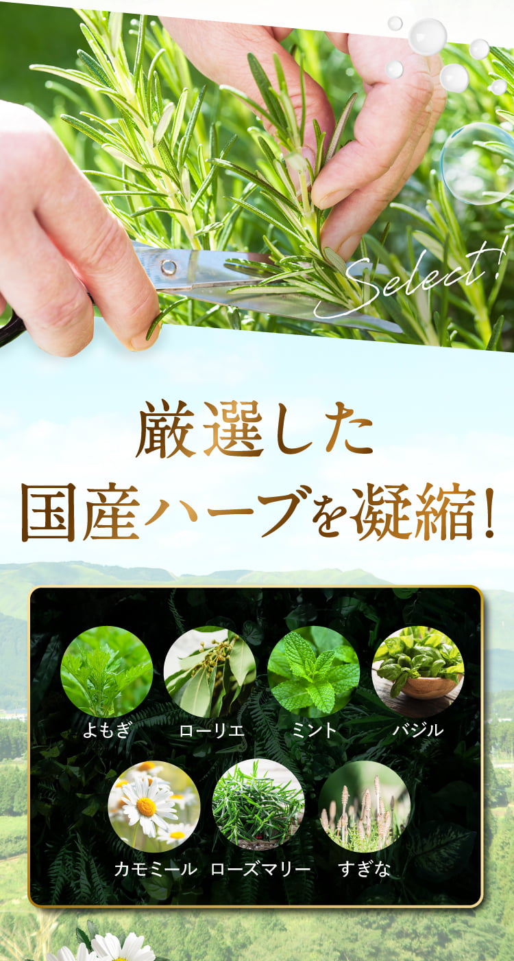 厳選した国産ハーブを凝縮