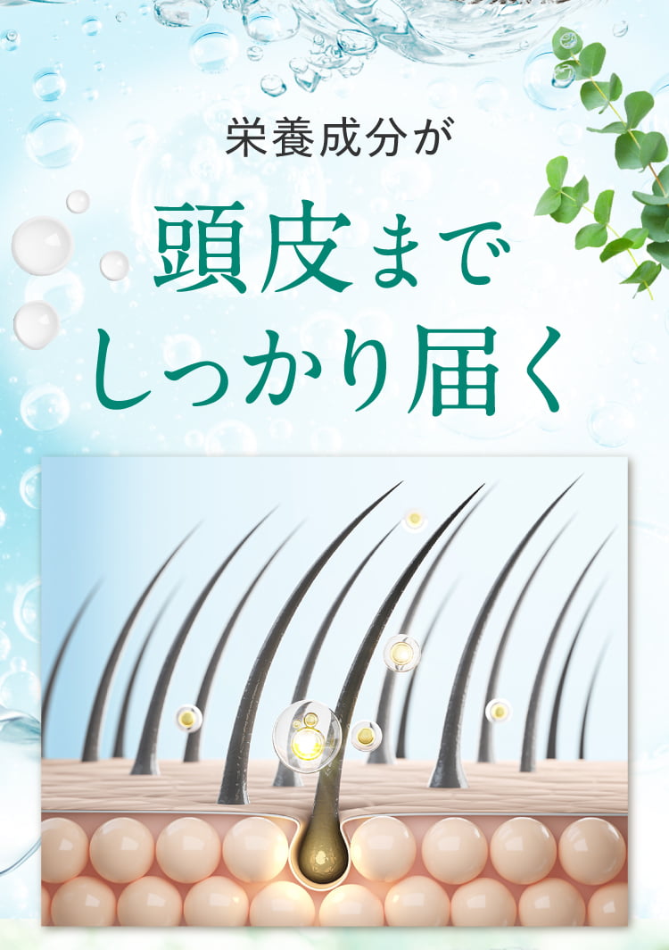 栄養成分が頭皮まで届く
