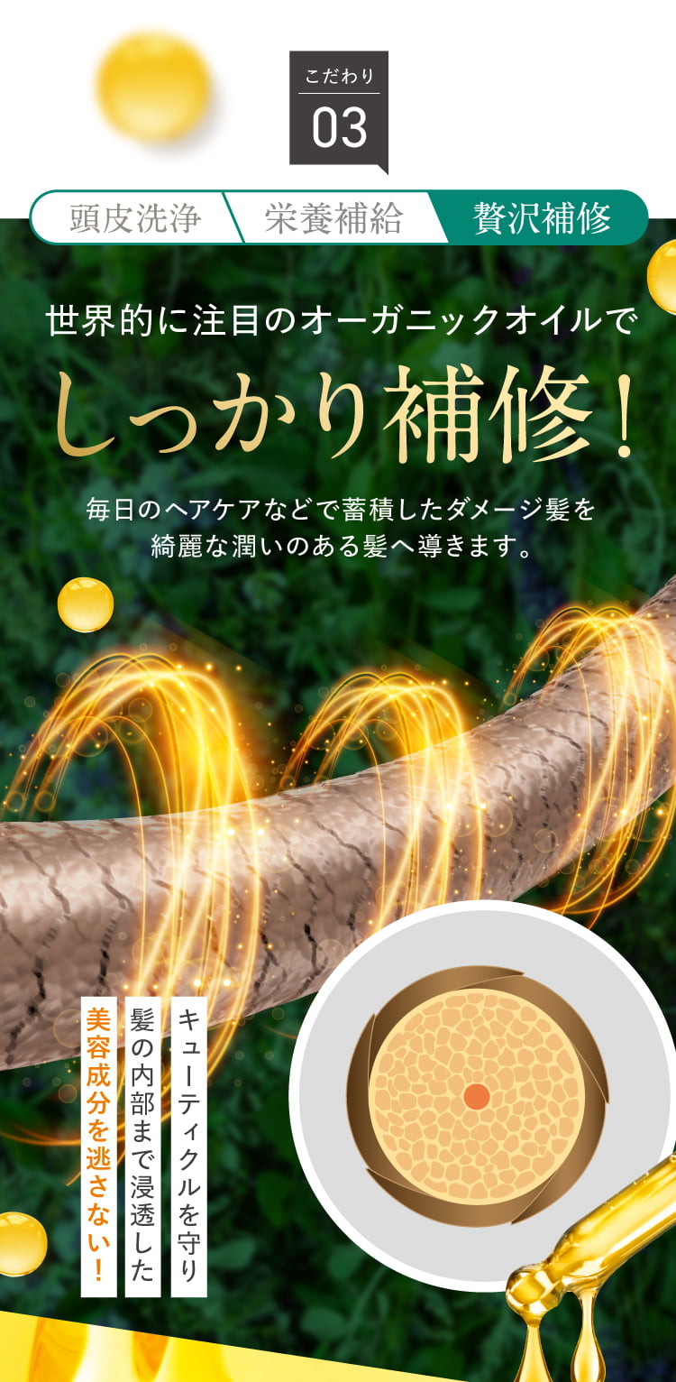 オーガニックオイルでしっかり補修
