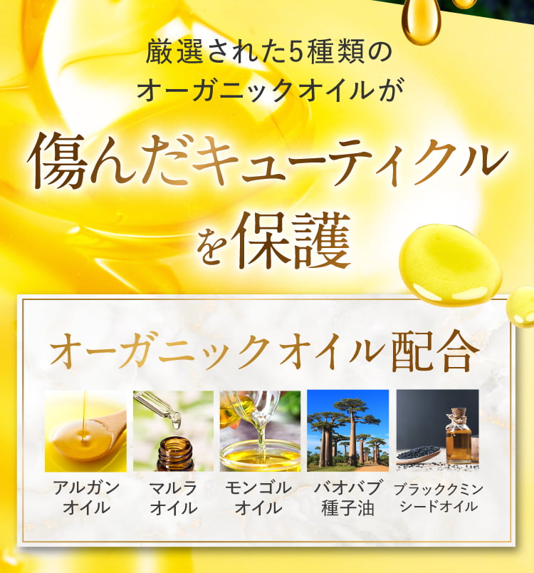 キューティクルをオイルが保護