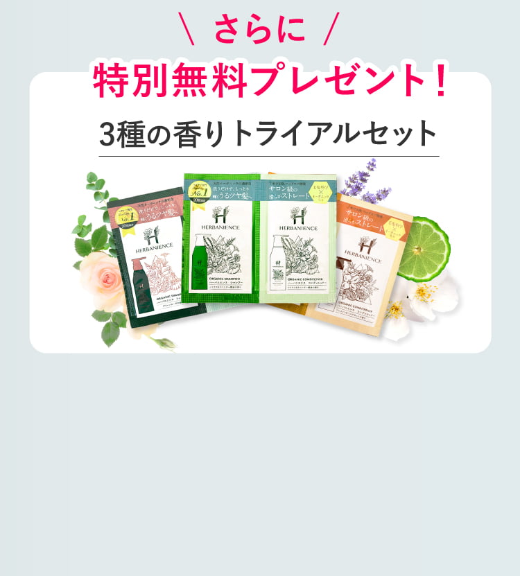 今なら特典付き